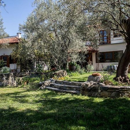 Piges Villa Miliá Kültér fotó
