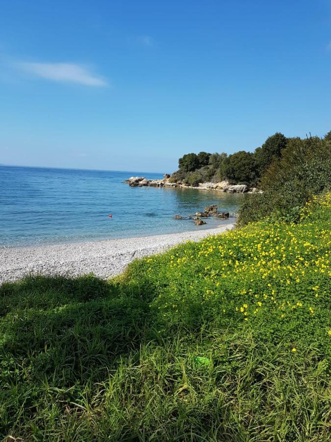 Piges Villa Miliá Kültér fotó